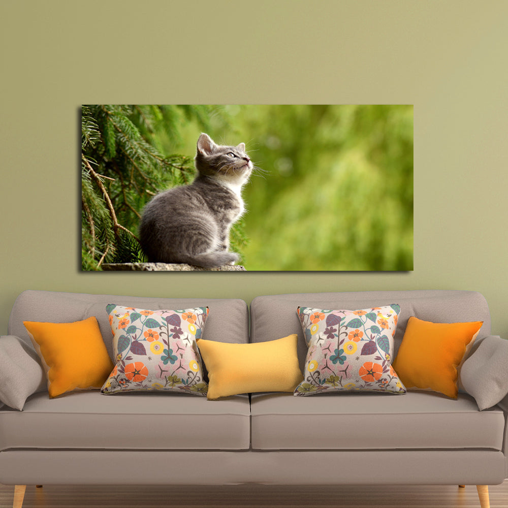 Cat Animal Canvas Wall Painting