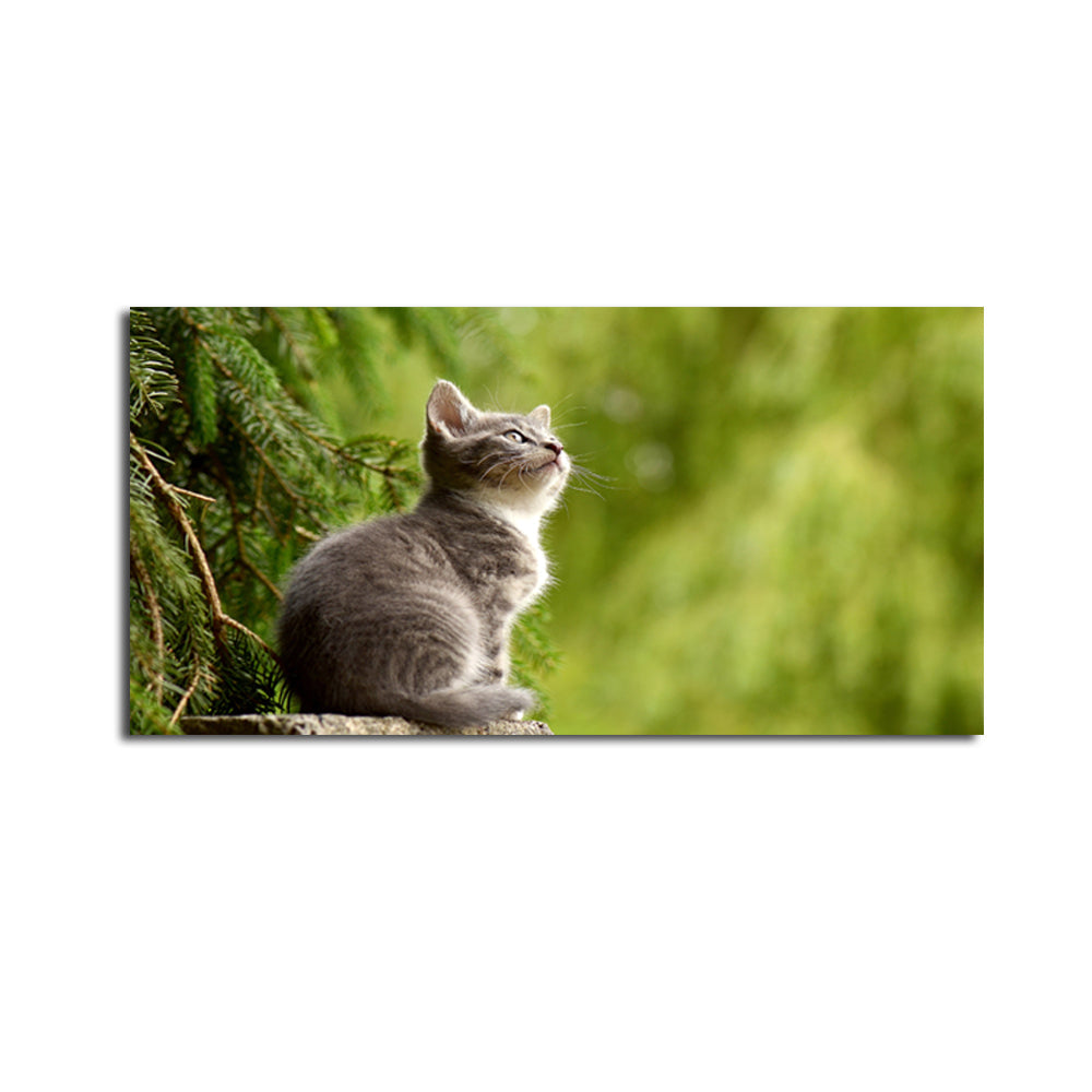 Cat Animal Canvas Wall Painting