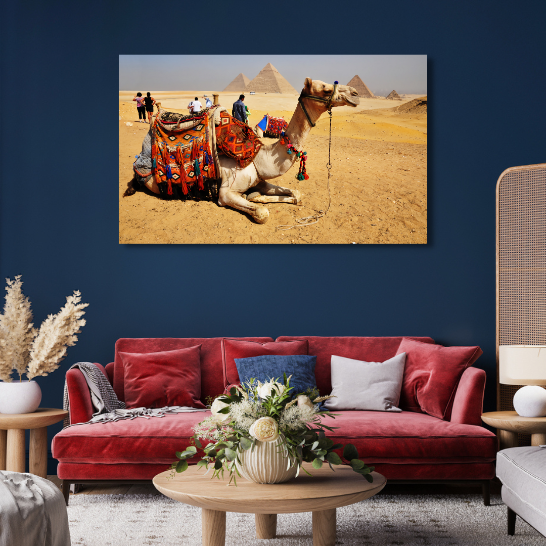 Camel With Pyramid's Canvas Print Wall Painting