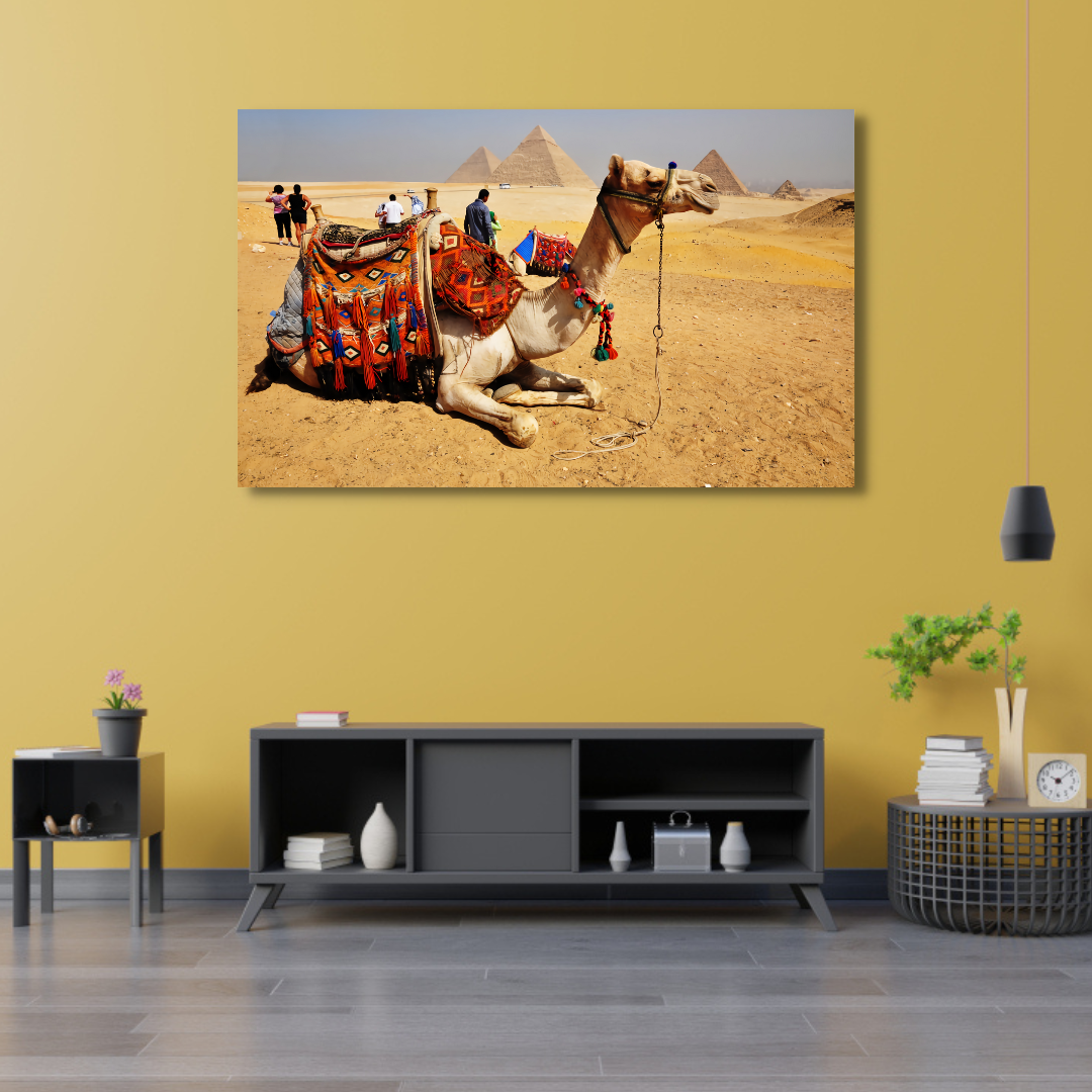 Camel With Pyramid's Canvas Print Wall Painting