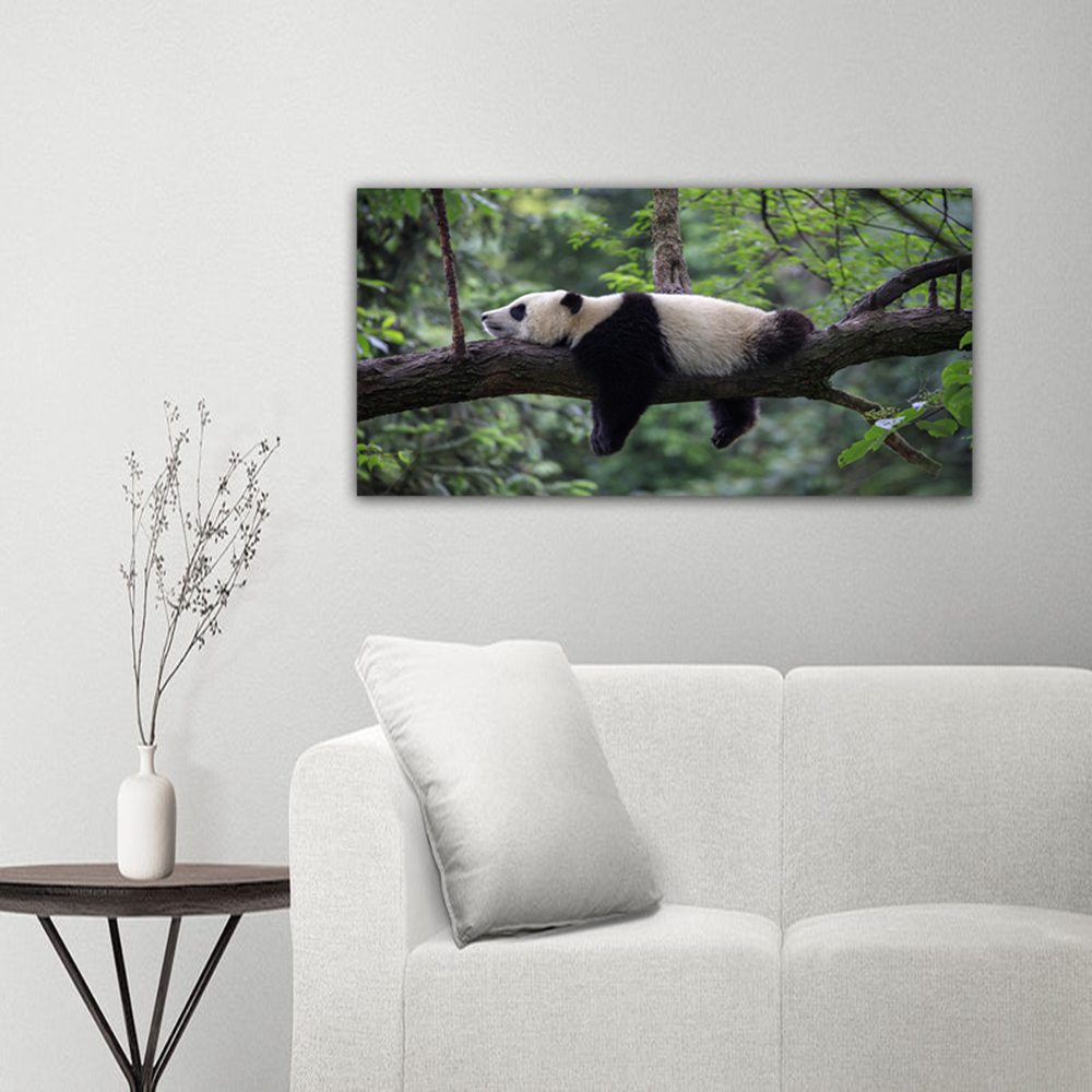 Panda Animal Canvas Wall Painting