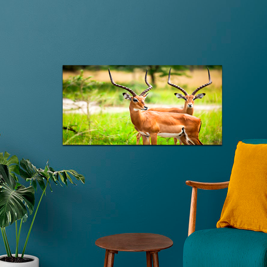 Deer Animal Painting Canvas Wall Painting