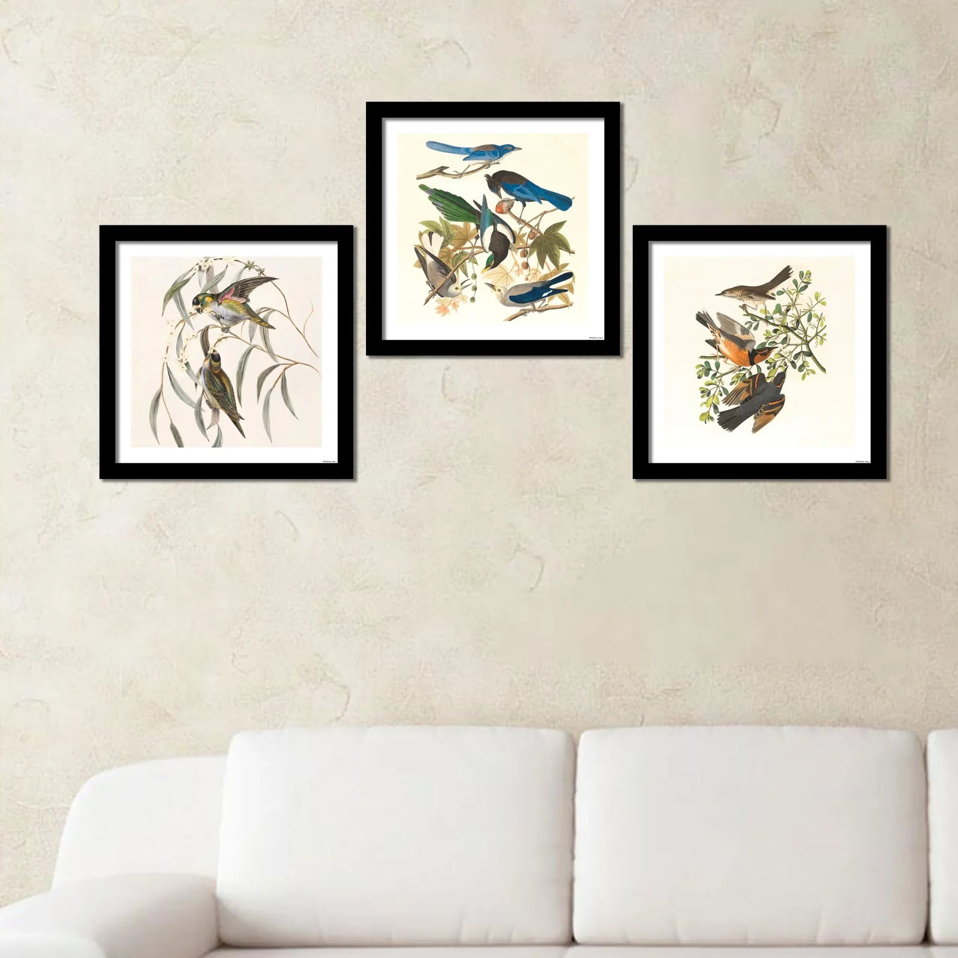Birds on Tree Branch Wall Frame