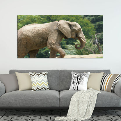 Elephant Canvas Print Modern Wall Painting