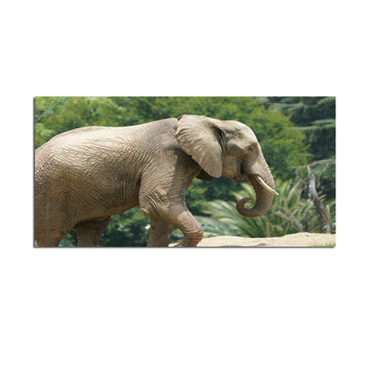 Elephant Canvas Print Modern Wall Painting