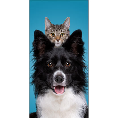 Dog & Cat Canvas Print Wall Painting