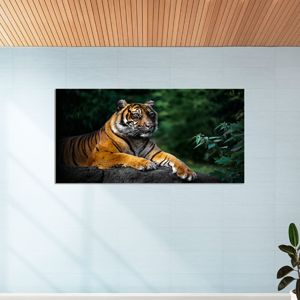 African Lion Animal Canvas Wall Painting
