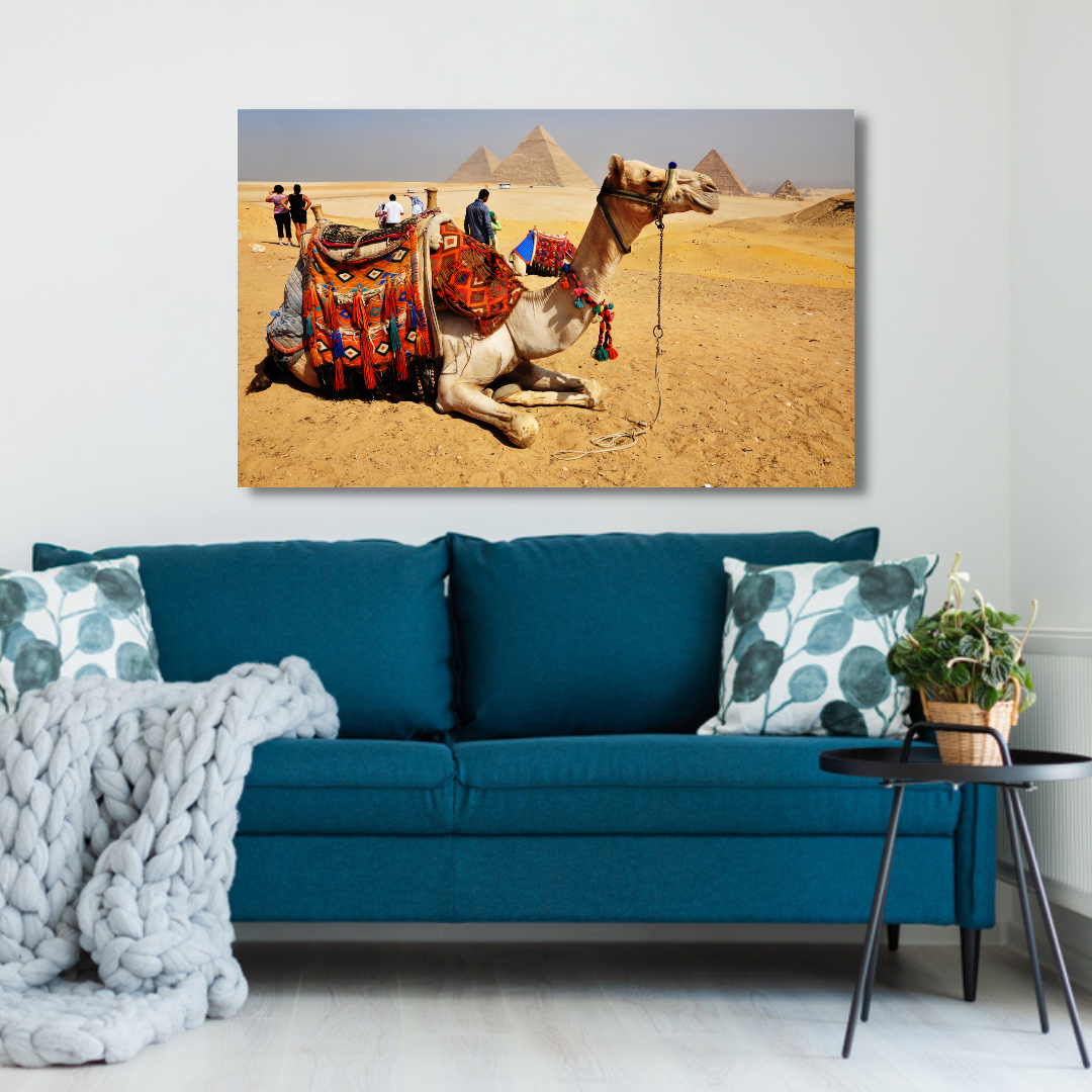 Camel With Pyramid's Canvas Print Wall Painting