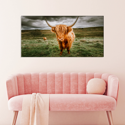 Highland Cattle Animal Canvas Print Wall Painting