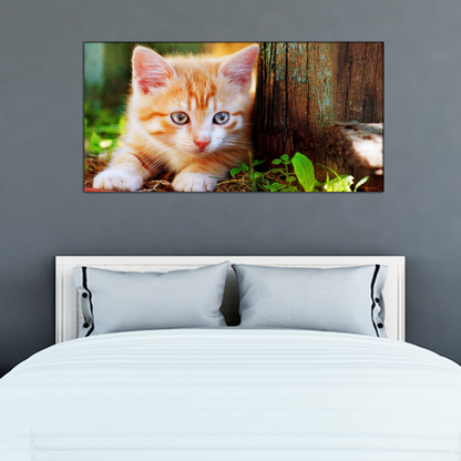 Cat Animal Canvas Print Wall Painting