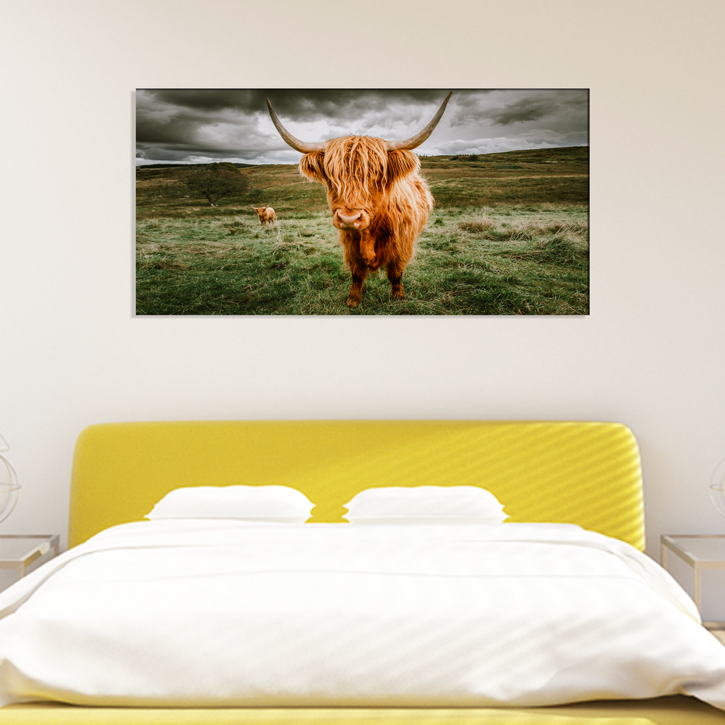 Highland Cattle Animal Canvas Print Wall Painting