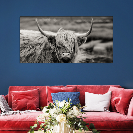 Highland Cattle Animal Canvas Print Wall Painting