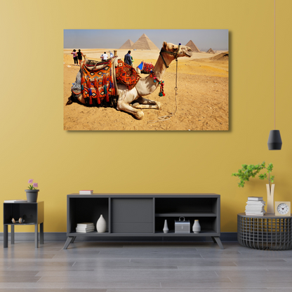 Camel With Pyramid's  Canvas Print Wall Painting