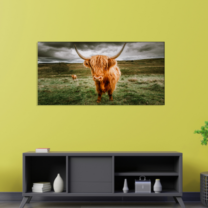 Highland Cattle Animal Canvas Print Wall Painting