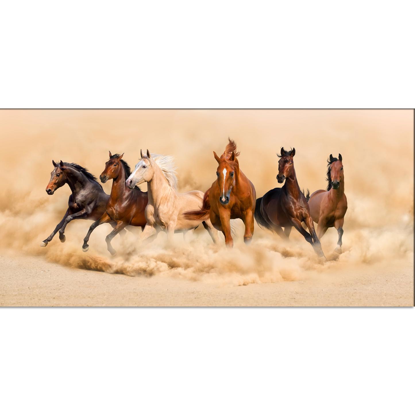 Saven Horses  Running  Design Canvas Print Wall Painting
