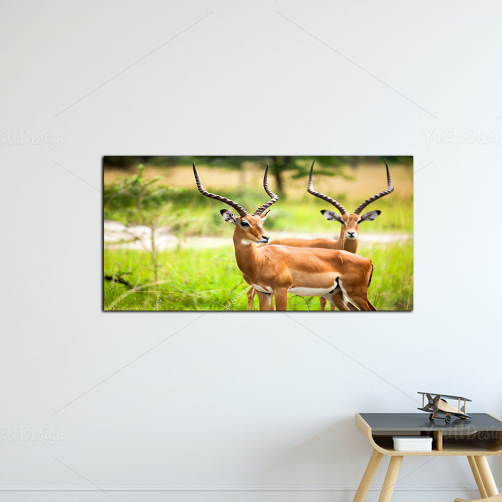 Deer Animal Painting Canvas Wall Painting