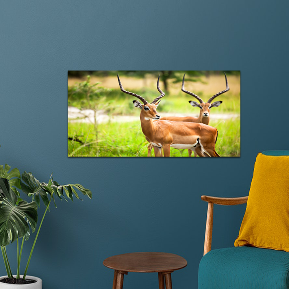 Deer Animal Painting Canvas Wall Painting