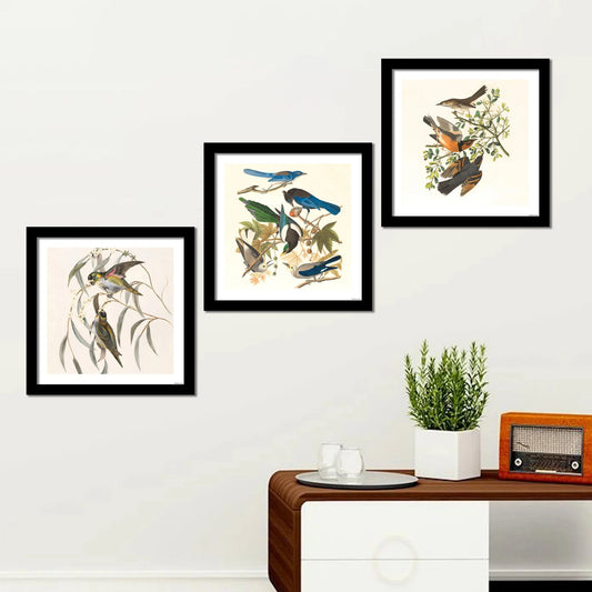 colorful birds wall frame