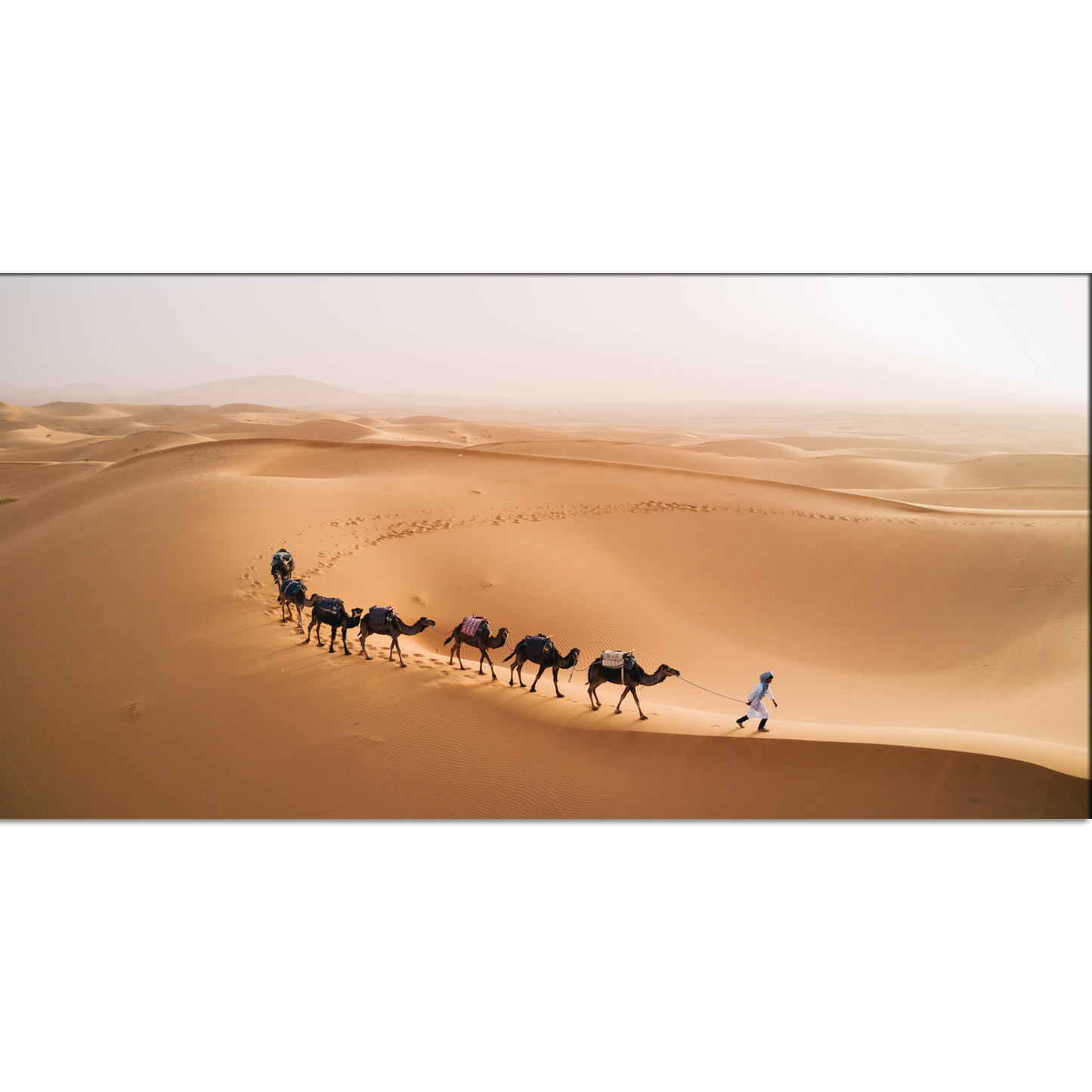 Camel Walk in Desert Rajasthan Canvas Print Wall Painting