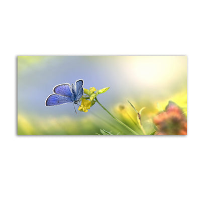 Butterfly sitting on a flower Canvas Wall Painting